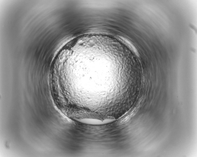 X0000093430855200711021033