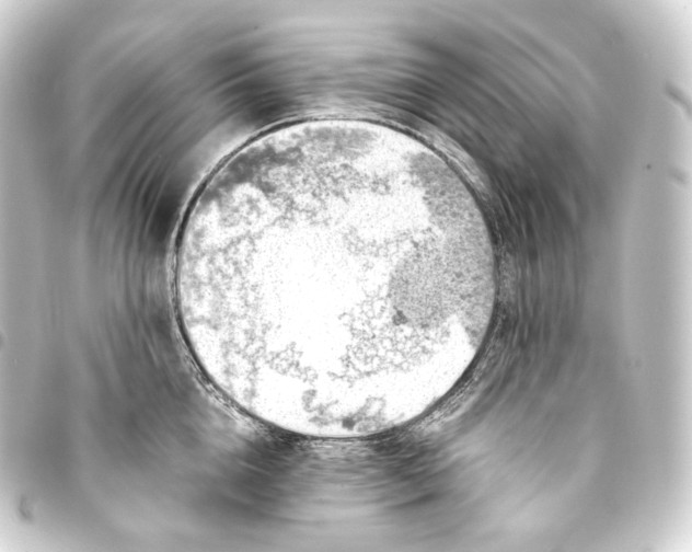 X0000093430856200711021033