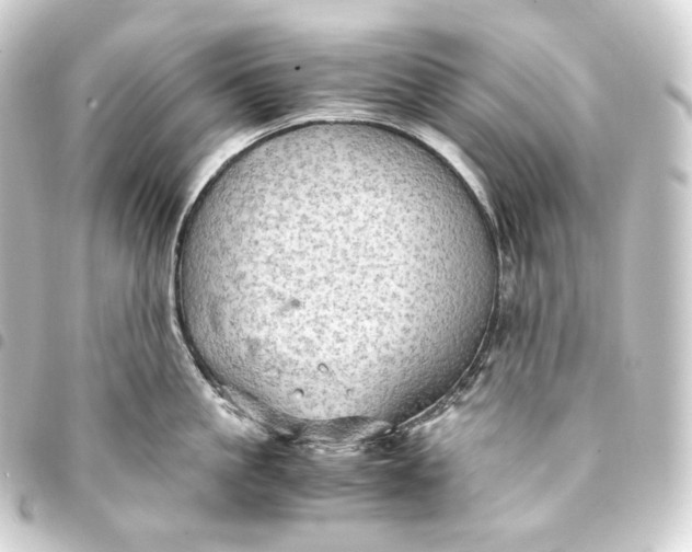 X0000093430861200711021033