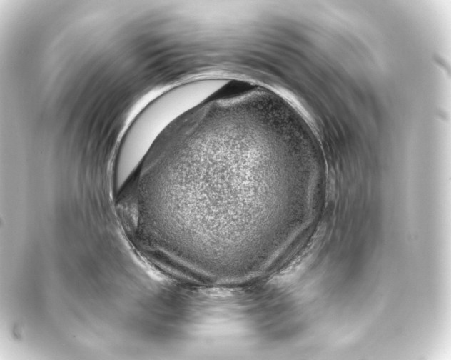 X0000093430862200711021033