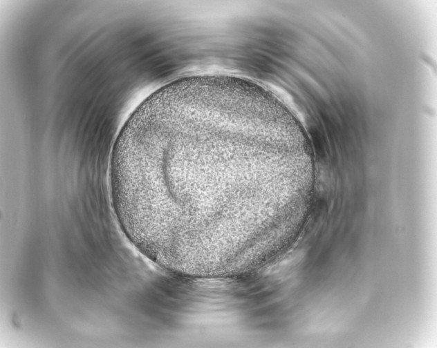 X0000093430863200711021033