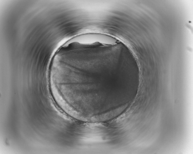 X0000093430864200711021033