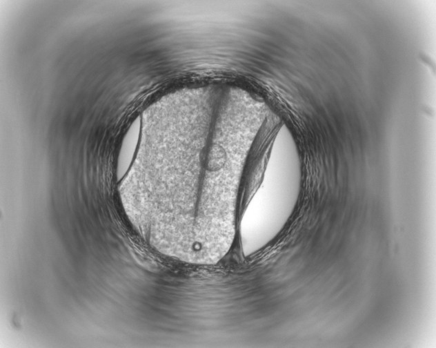 X0000093430868200711021032