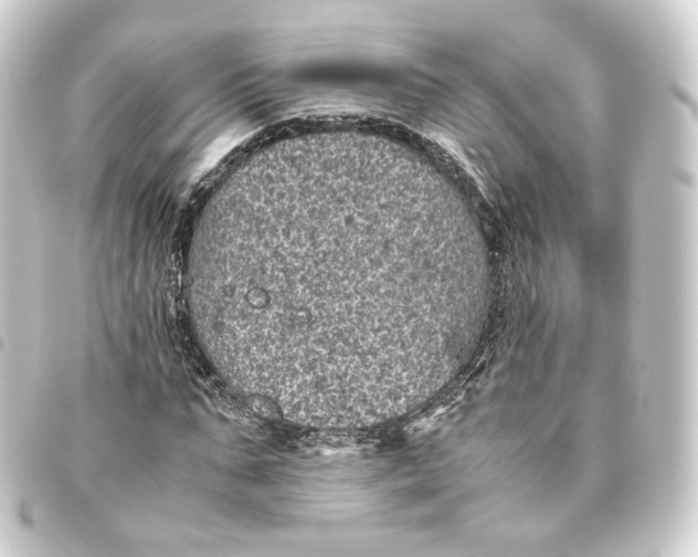 X0000093430871200711021032