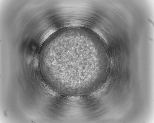 X0000093430874200711021032