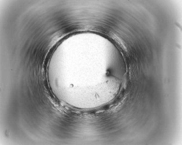 X0000093430876200711021032