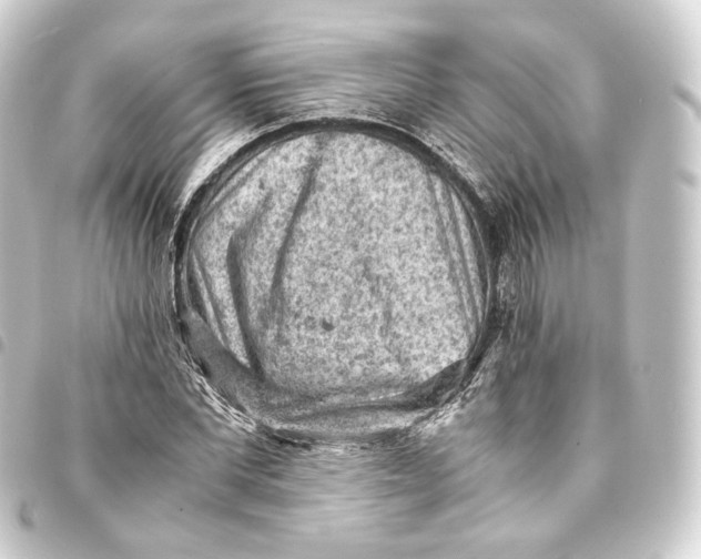 X0000093430877200711021032