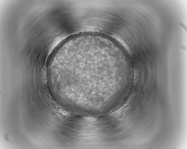 X0000093430878200711021032