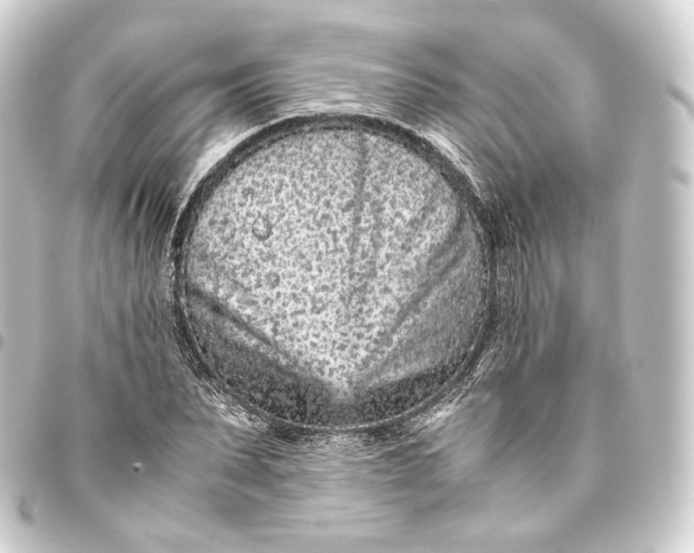 X0000093430879200711021032