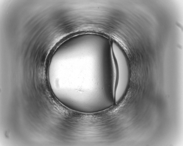 X0000093430880200711021032