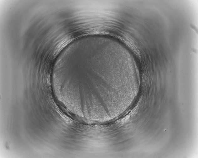 X0000093430881200711021032