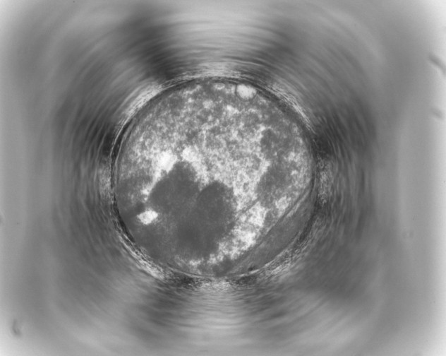 X0000093430882200711021032