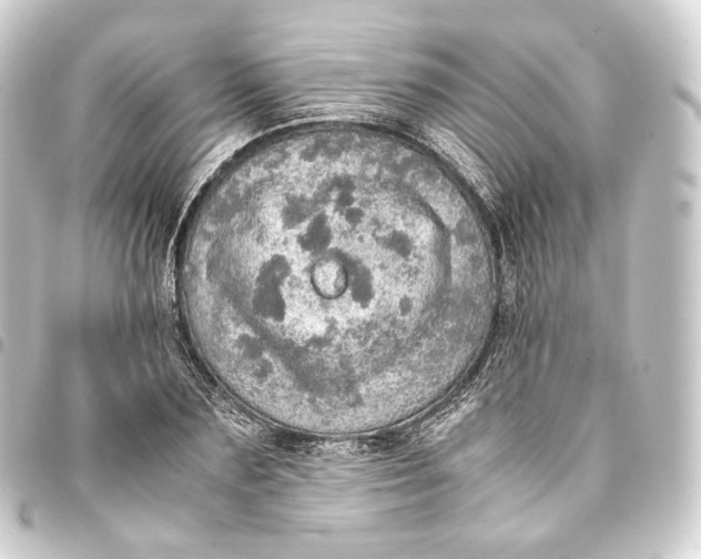 X0000093430883200711021032