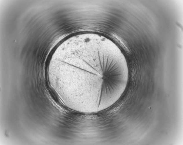 X0000093430884200711021032