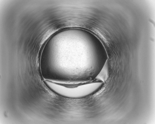 X0000093430885200711021032