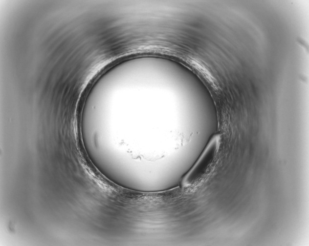 X0000093430888200711021032