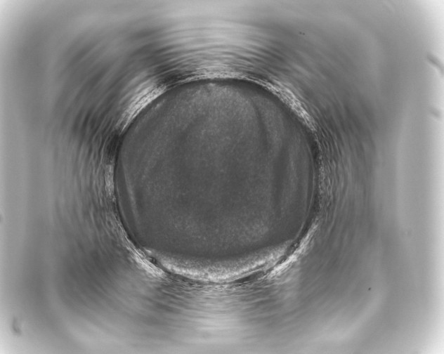 X0000093430889200711021032