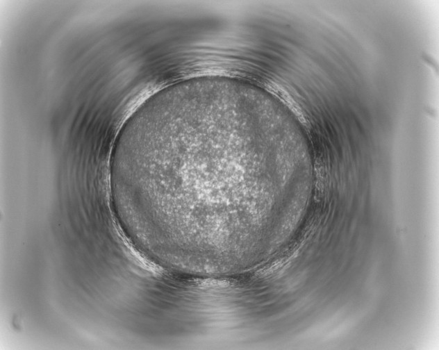 X0000093430890200711021032