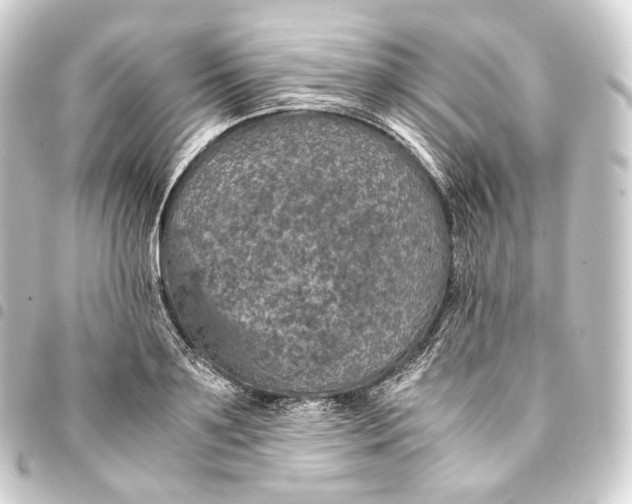 X0000093430891200711021032