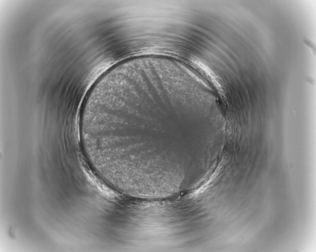 X0000093430892200711021032