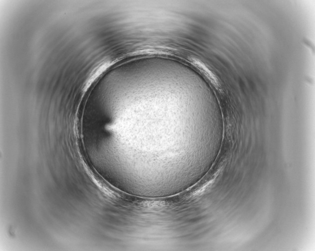 X0000093430893200711021032