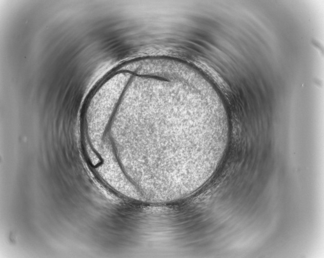 X0000093430894200711021032