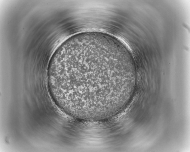 X0000093430895200711021032