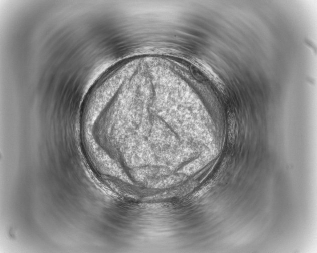 X0000093430896200711021032