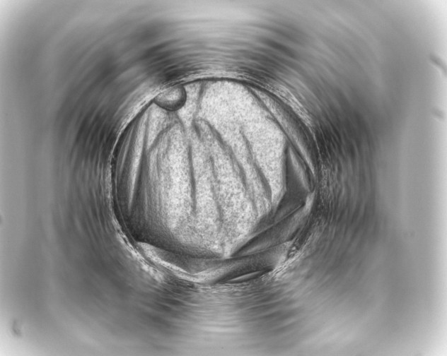 X0000093430898200711021032