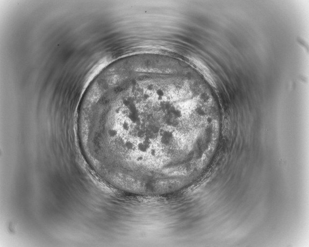 X0000093430899200711021032