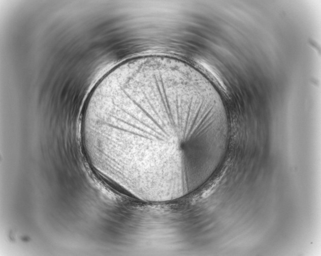 X0000093430900200711021032