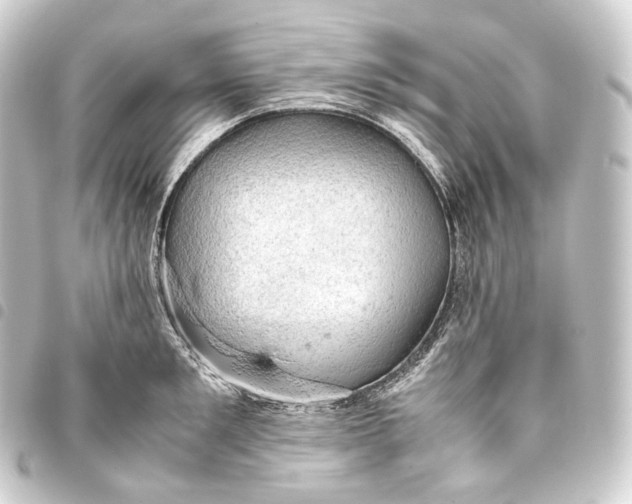 X0000093430901200711021032