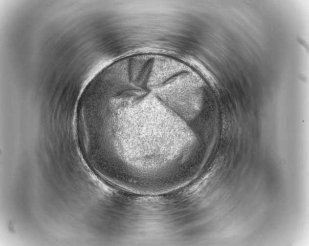 X0000093430902200711021032