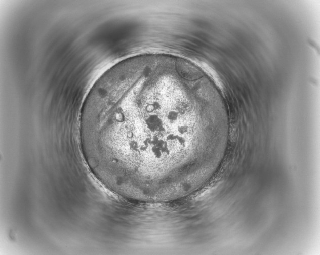 X0000093430903200711021032