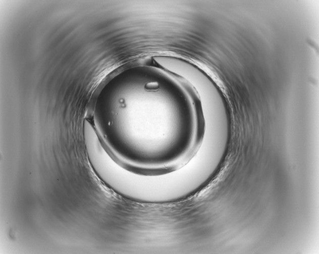 X0000093430905200711021032