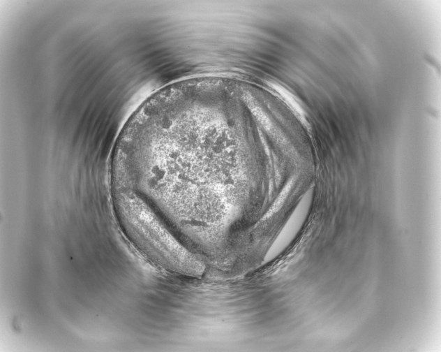 X0000093430907200711021032