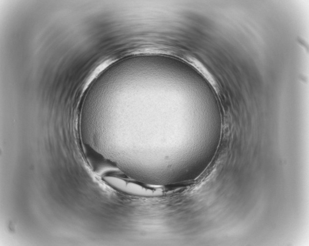 X0000093430909200711021031