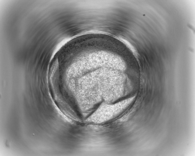 X0000093430910200711021031