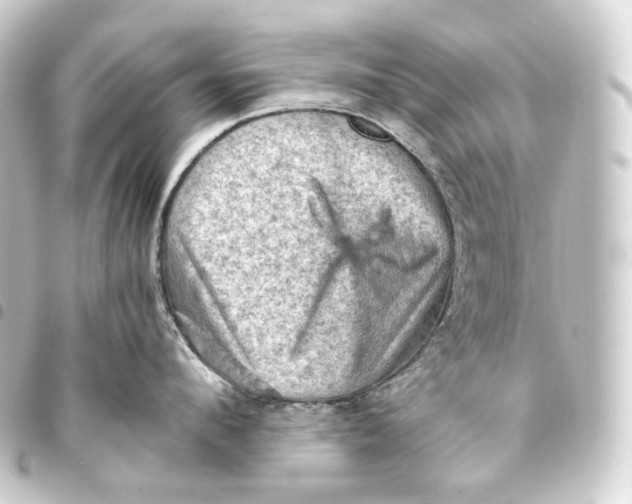 X0000093430912200711021031