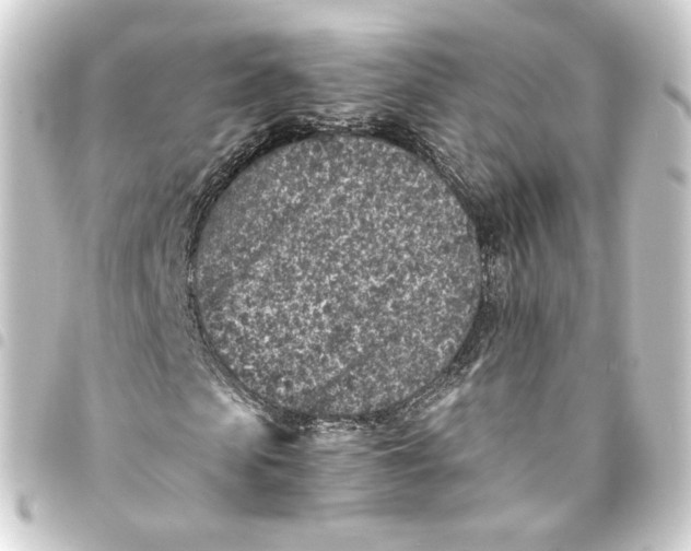 X0000093430913200711021031