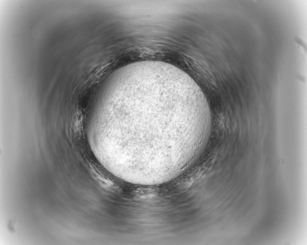 X0000093430914200711021031