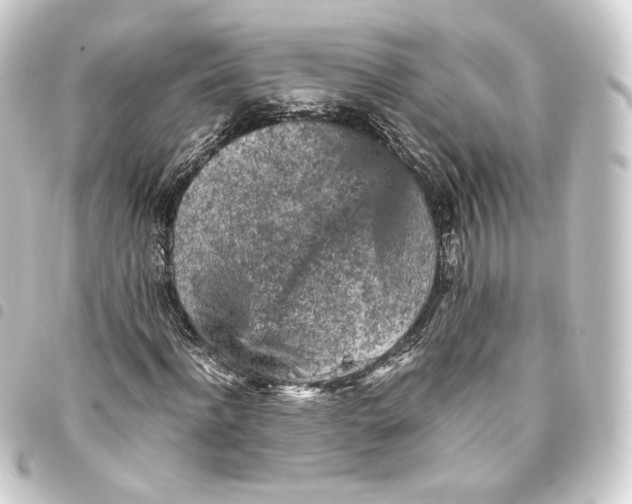 X0000093430916200711021031