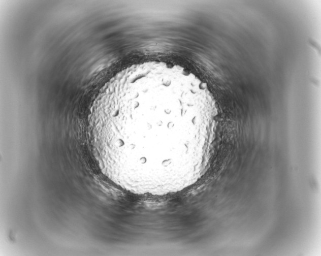 X0000093430917200711021031