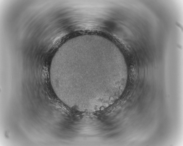 X0000093430918200711021031