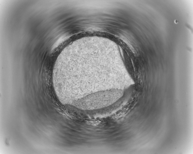 X0000093430919200711021031