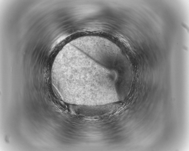 X0000093430920200711021031