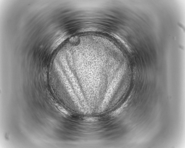 X0000093430921200711021031