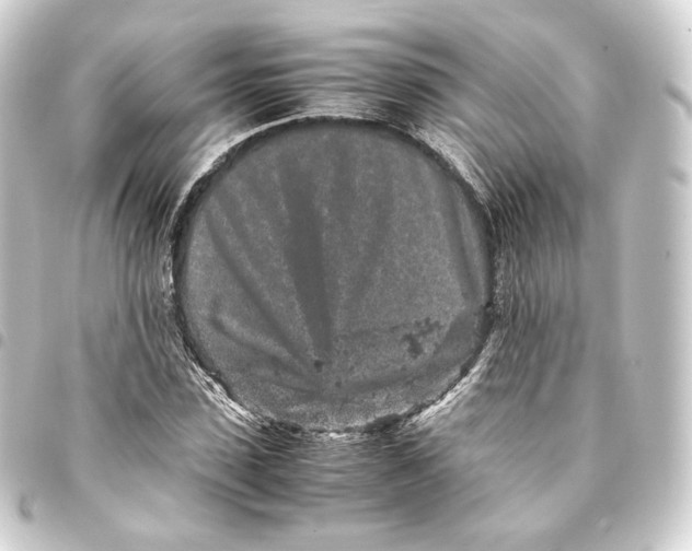 X0000093430923200711021031