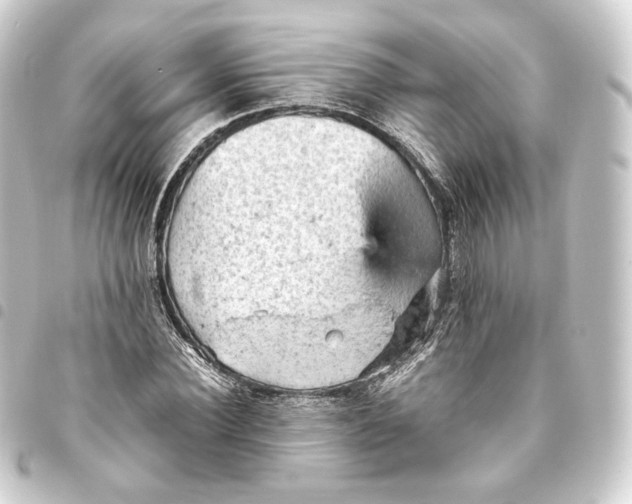 X0000093430924200711021031