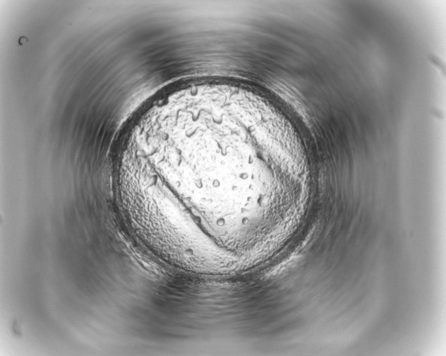 X0000093430925200711021031